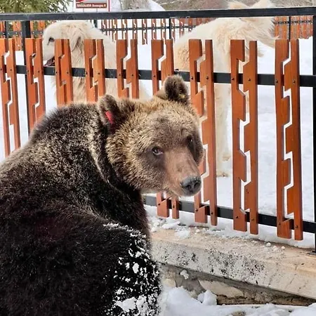 Holiday home La Casa Dell Orso