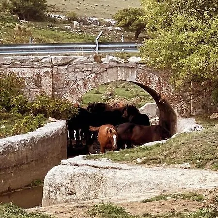 La Casa Dell Orso Roccaraso
