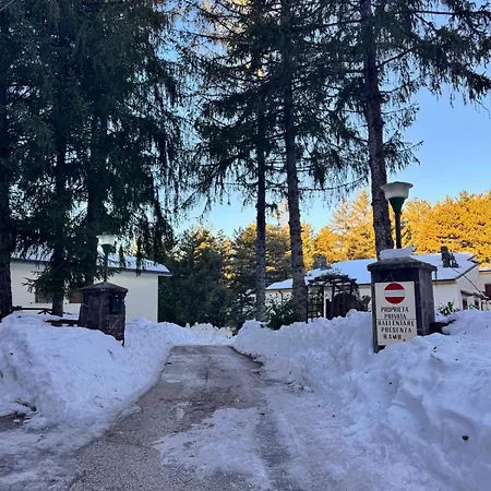 La Casa Nel Bosco Apartment