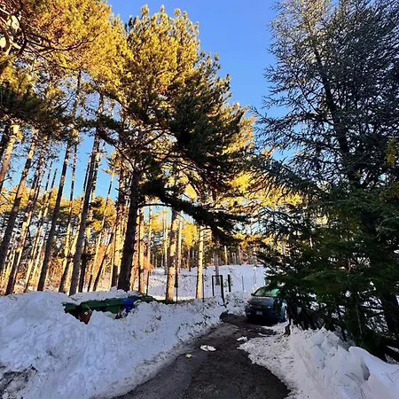 La Casa Nel Bosco Apartment *